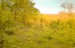finca_10has_hojancha_costa_rica_6