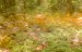 finca_10has_hojancha_costa_rica_7