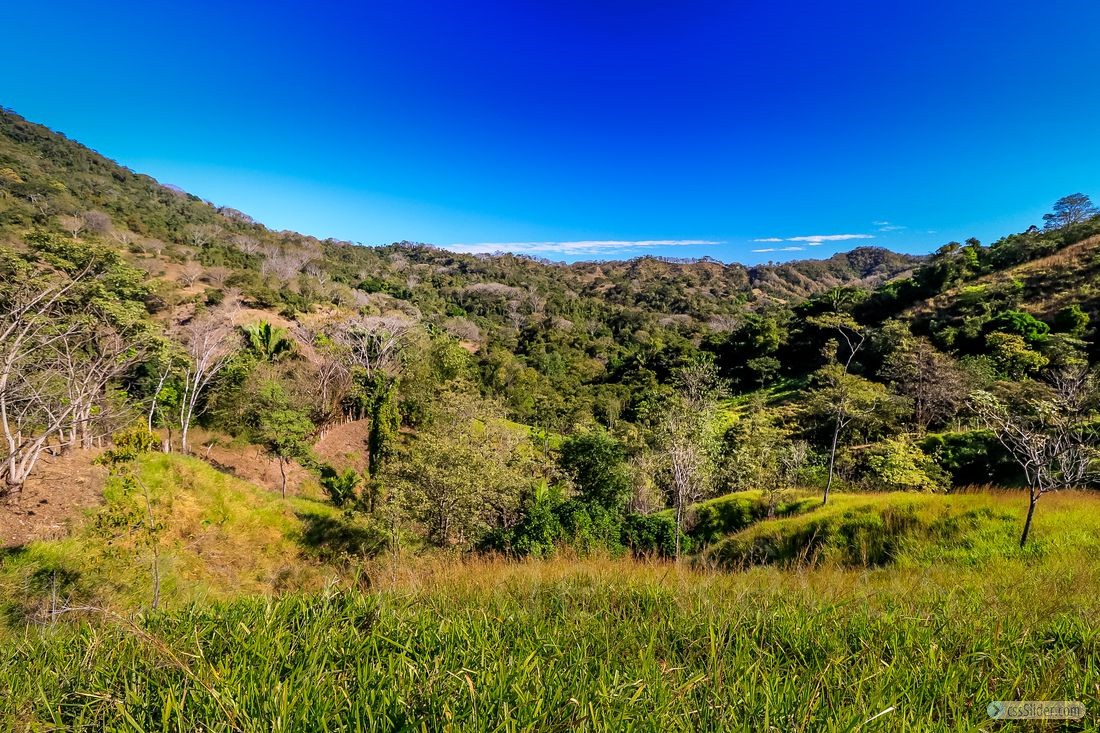 finca_11has_jicaral_costa_rica_2copy