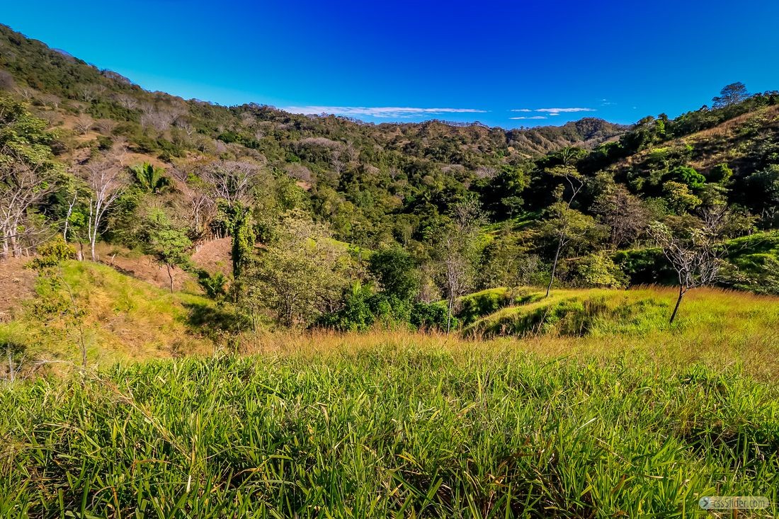 finca_11has_jicaral_costa_rica_3copy