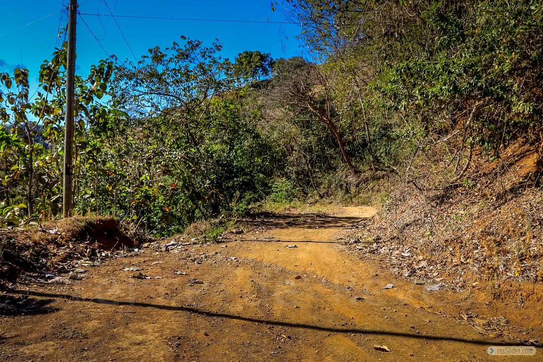 finca_11has_jicaral_costa_rica_6copy