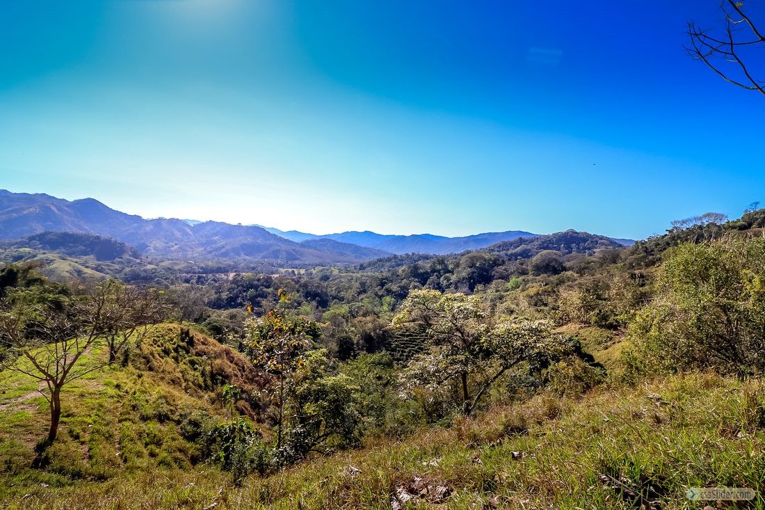 finca_11has_jicaral_costa_rica_7copy