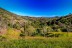 finca_11has_jicaral_costa_rica_2copy