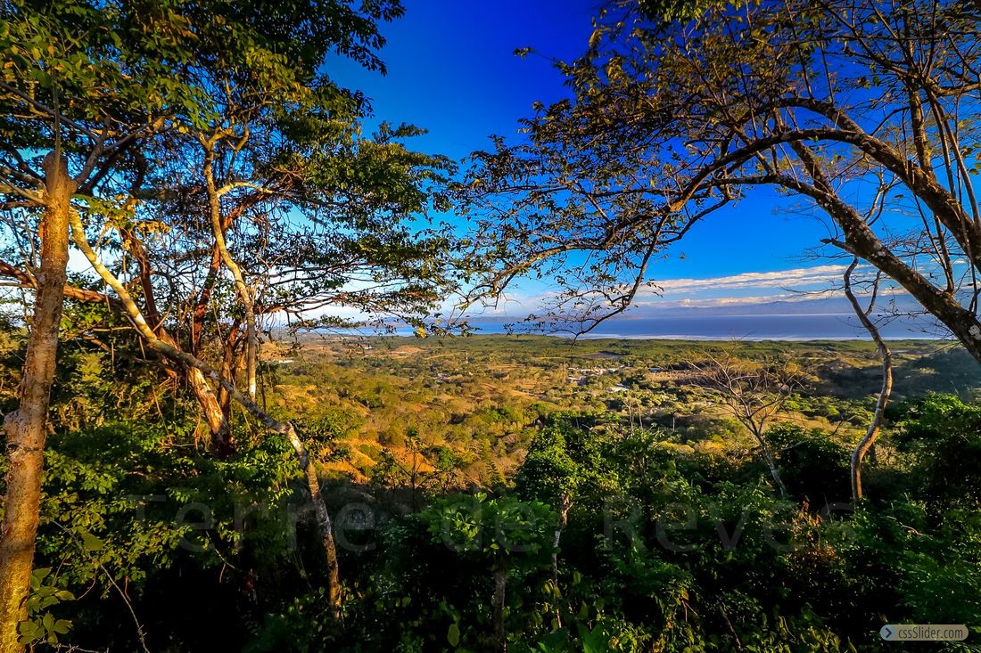finca_12has_jicaral_costa_rica_2copy
