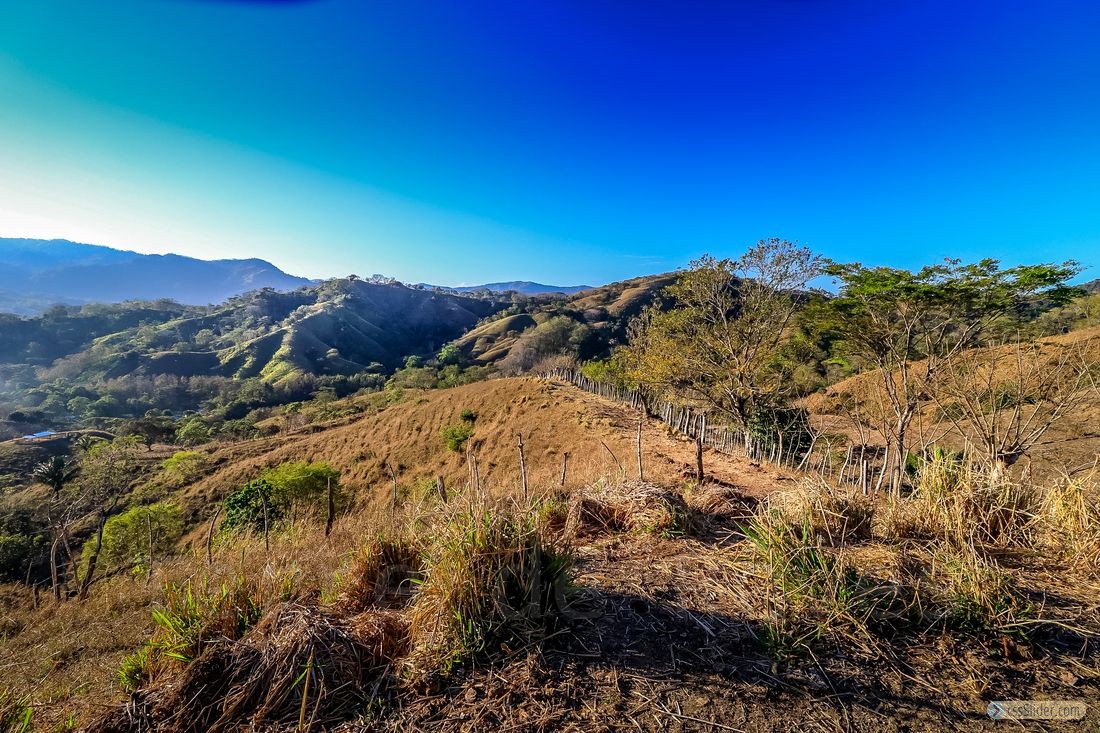 finca_12has_jicaral_costa_rica_7copy