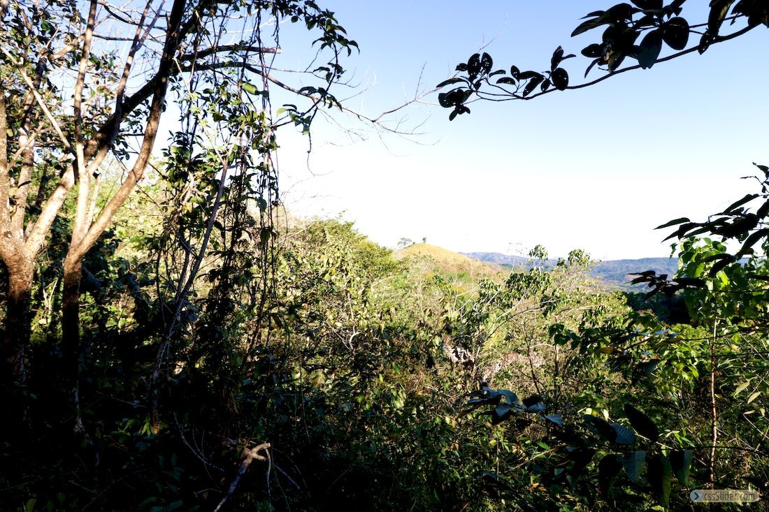 finca_14has_los_angeles_hojancha_costa_rica_2copy