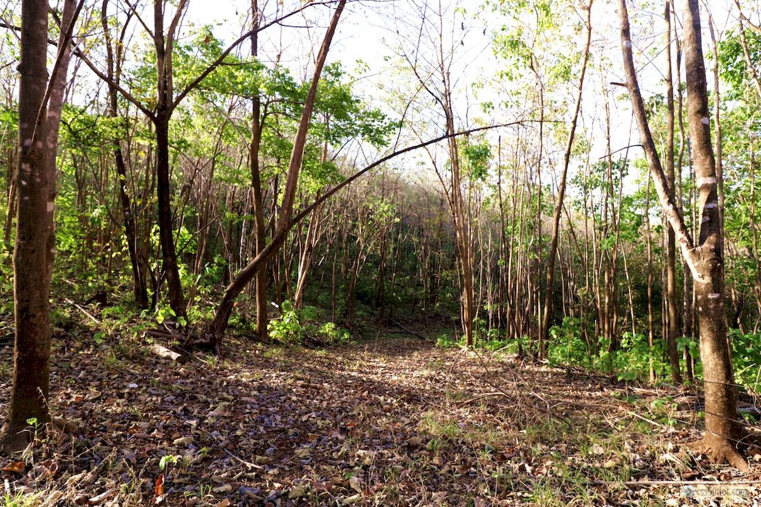 finca_14has_los_angeles_hojancha_costa_rica_3copy