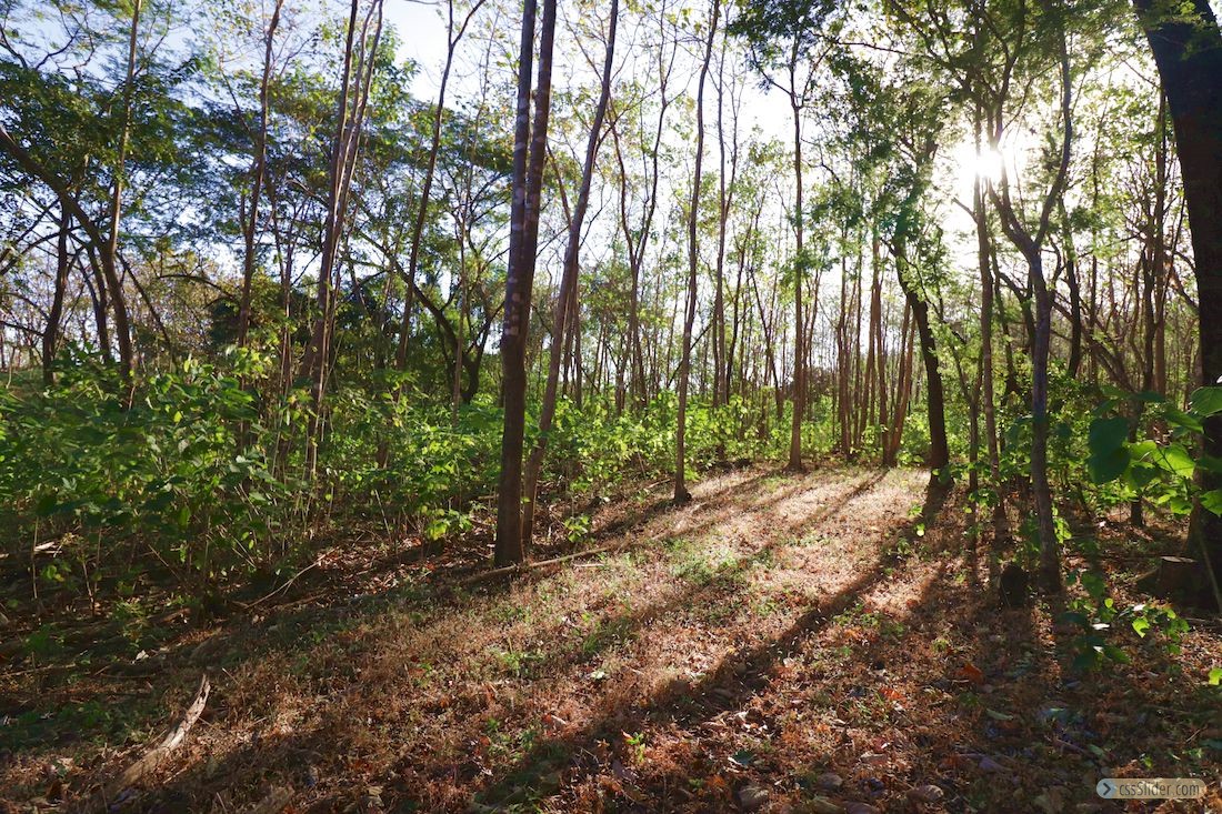 finca_14has_los_angeles_hojancha_costa_rica_4copy