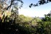 finca_14has_los_angeles_hojancha_costa_rica_2copy