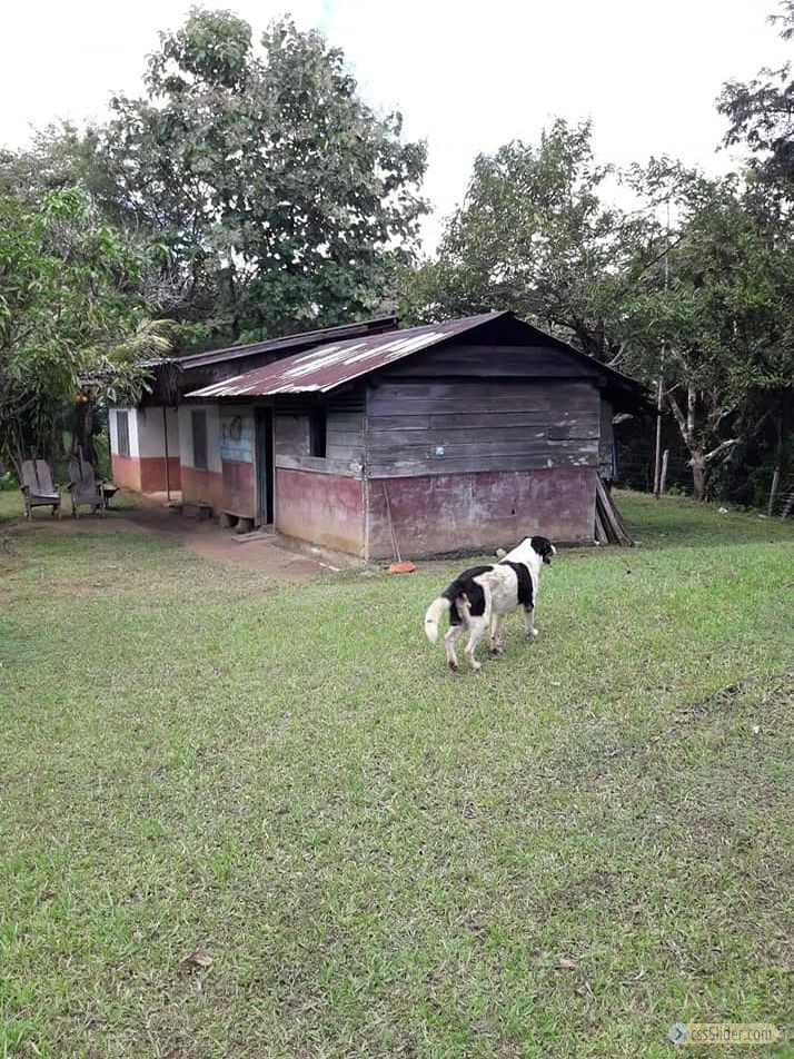 finca_159has_nosara_costa_rica_10