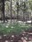 finca_159has_nosara_costa_rica_8