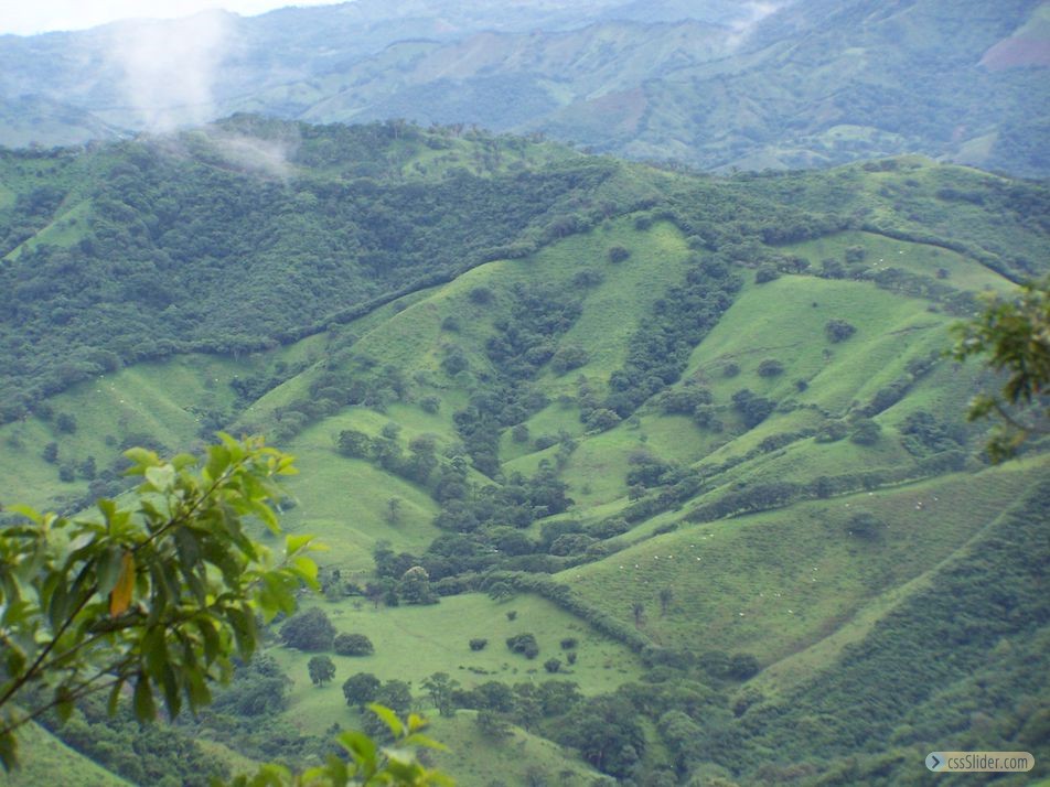 finca_159has_nosara_costa_rica_2
