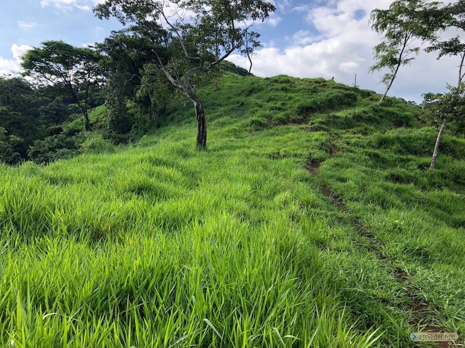 finca_159has_nosara_costa_rica_3