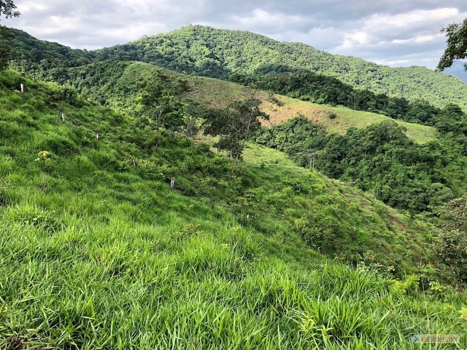 finca_159has_nosara_costa_rica_4