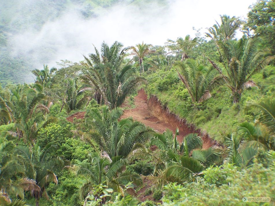 finca_159has_nosara_costa_rica_5