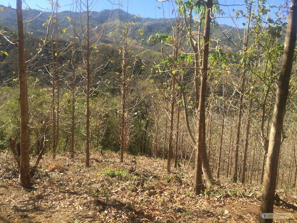 finca_159has_nosara_costa_rica_6