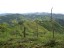finca_159has_nosara_costa_rica_1