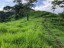 finca_159has_nosara_costa_rica_3