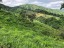 finca_159has_nosara_costa_rica_4