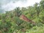 finca_159has_nosara_costa_rica_5