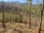 finca_159has_nosara_costa_rica_6