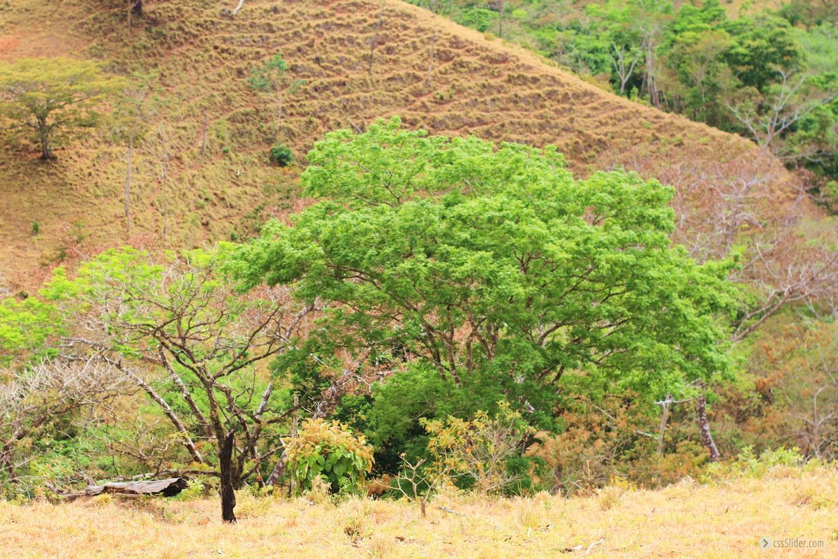 finca_18has_maravilla_costa_rica_4