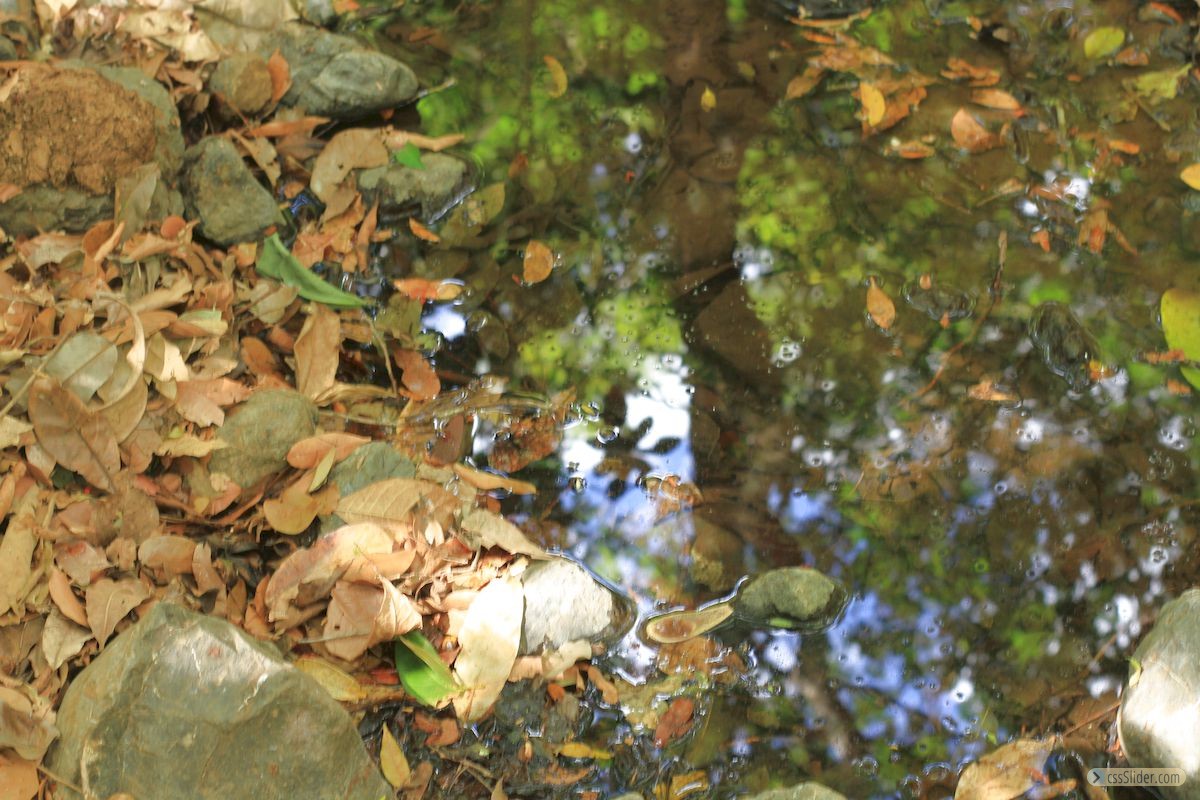 finca_18has_maravilla_costa_rica_5