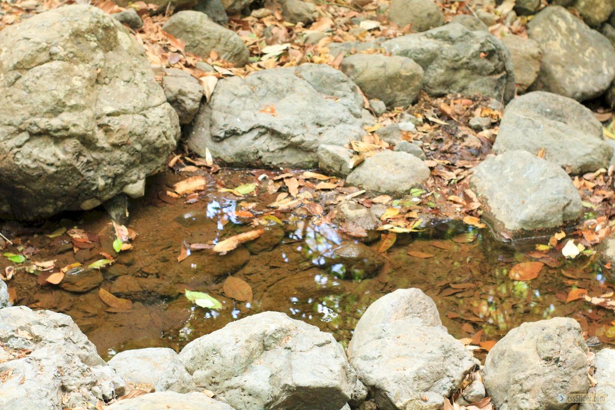 finca_18has_maravilla_costa_rica_6