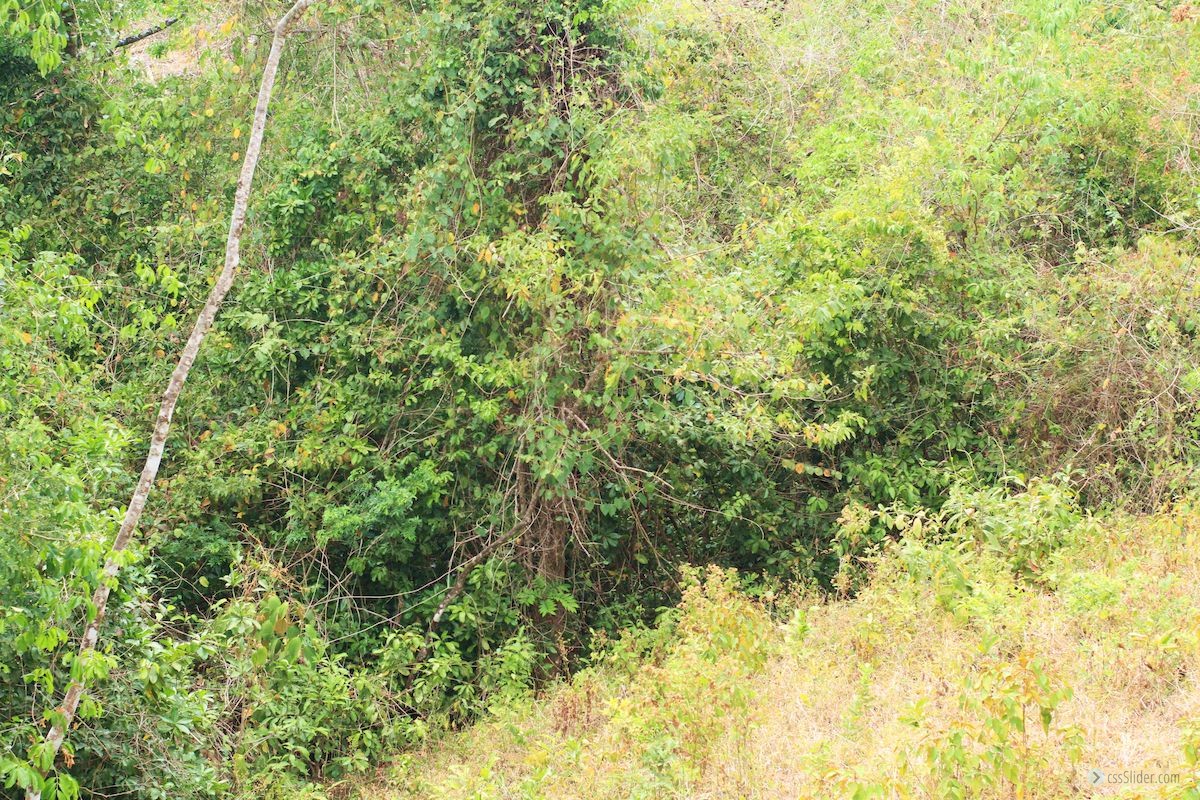 finca_18has_maravilla_costa_rica_7
