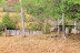 finca_18has_maravilla_costa_rica_10