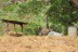 finca_18has_maravilla_costa_rica_3