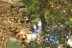 finca_18has_maravilla_costa_rica_5