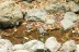finca_18has_maravilla_costa_rica_6