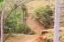 finca_18has_maravilla_costa_rica_8