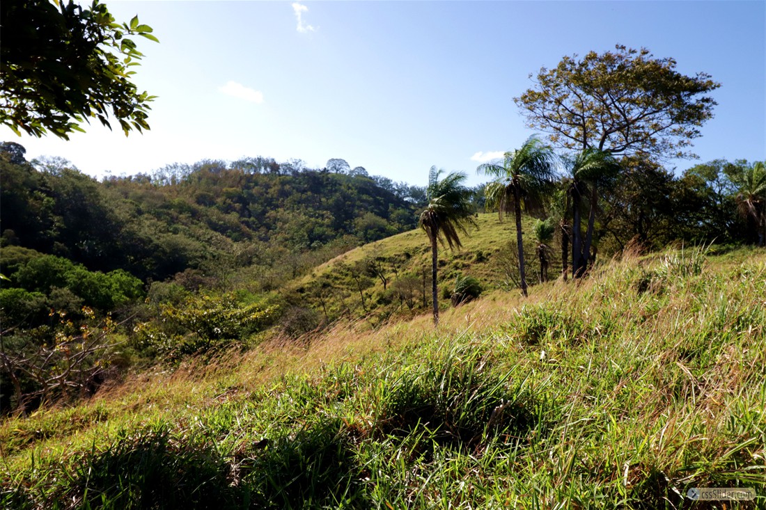 finca_20has_los_angeles_hojancha_costa_rica_10copy