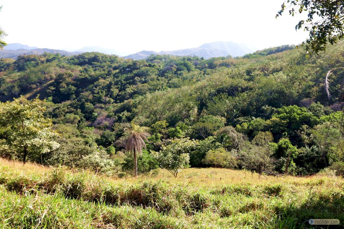 finca_20has_los_angeles_hojancha_costa_rica_11copy