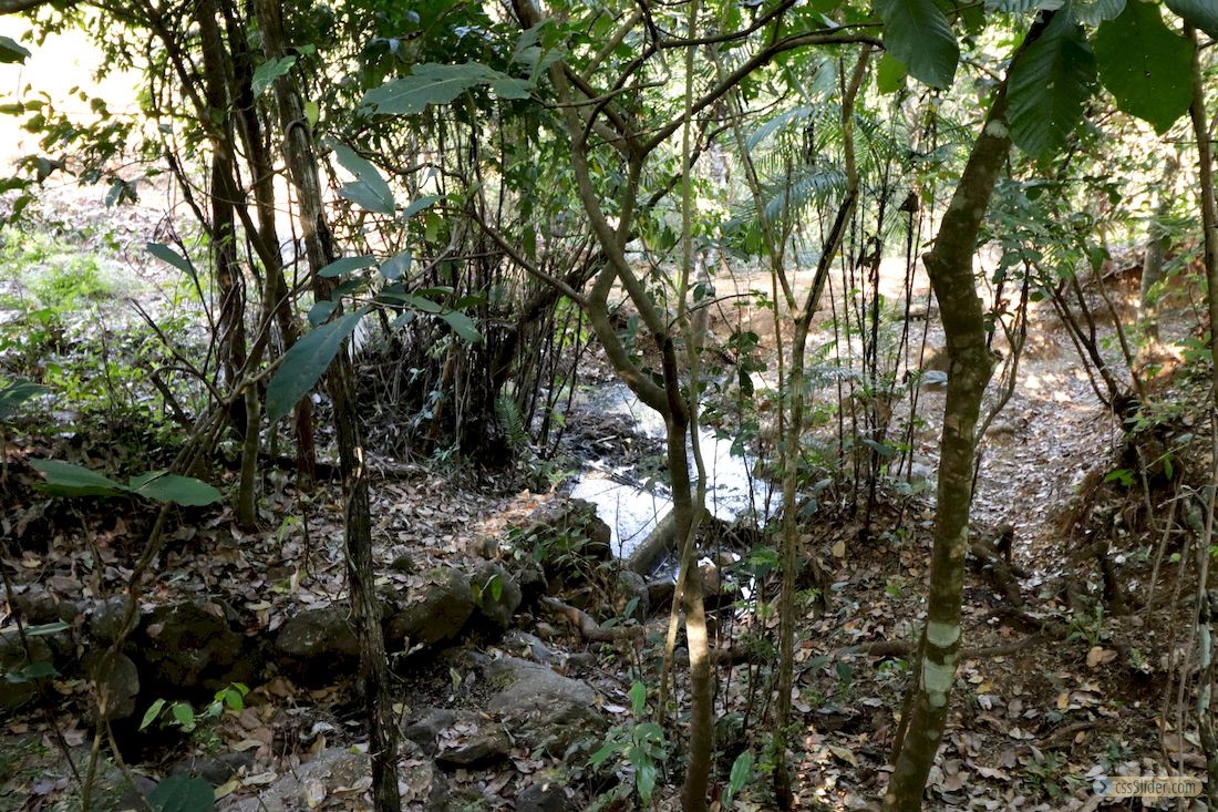 finca_20has_los_angeles_hojancha_costa_rica_6copy