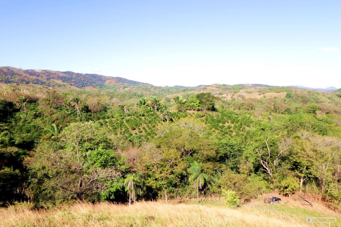 finca_20has_los_angeles_hojancha_costa_rica_7copy