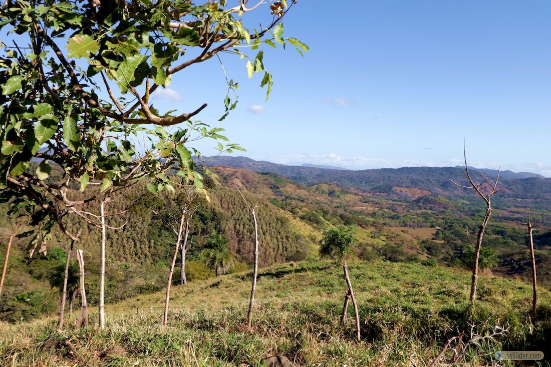 finca_20has_los_angeles_hojancha_costa_rica_8copy