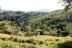 finca_20has_los_angeles_hojancha_costa_rica_11copy