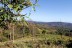 finca_20has_los_angeles_hojancha_costa_rica_8copy