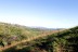 finca_20has_los_angeles_hojancha_costa_rica_9copy