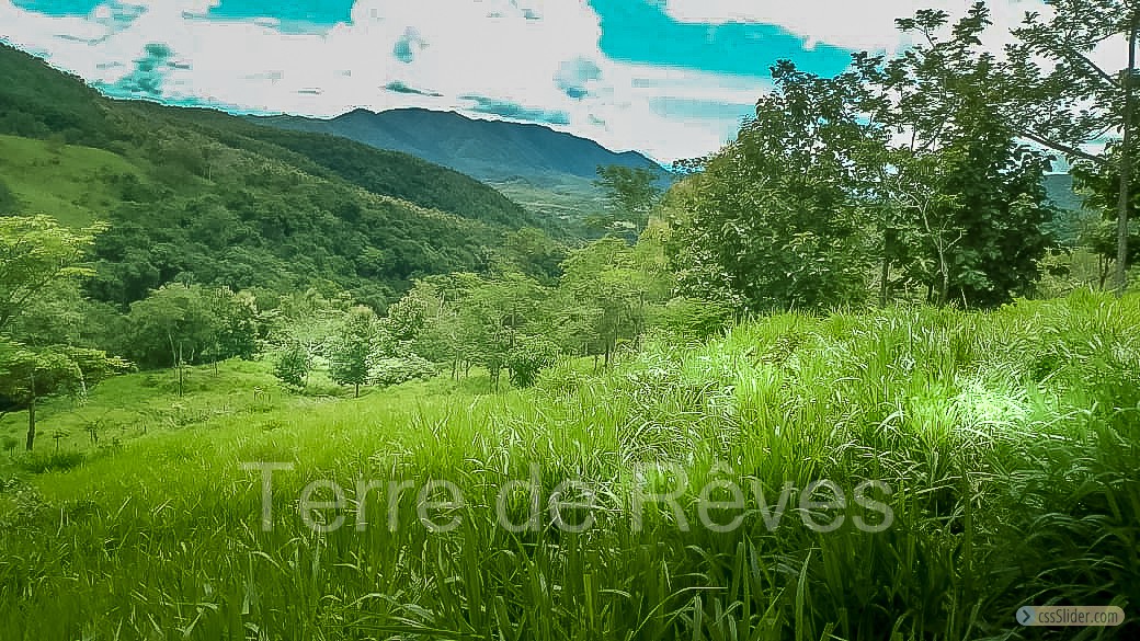 finca_21has_hojancha_costa_rica_1
