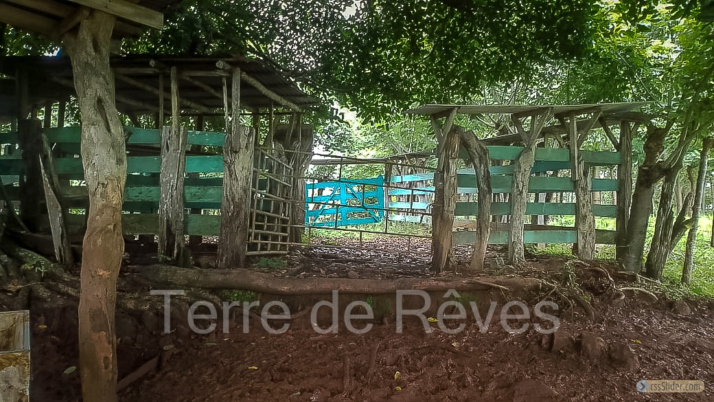 finca_21has_hojancha_costa_rica_10