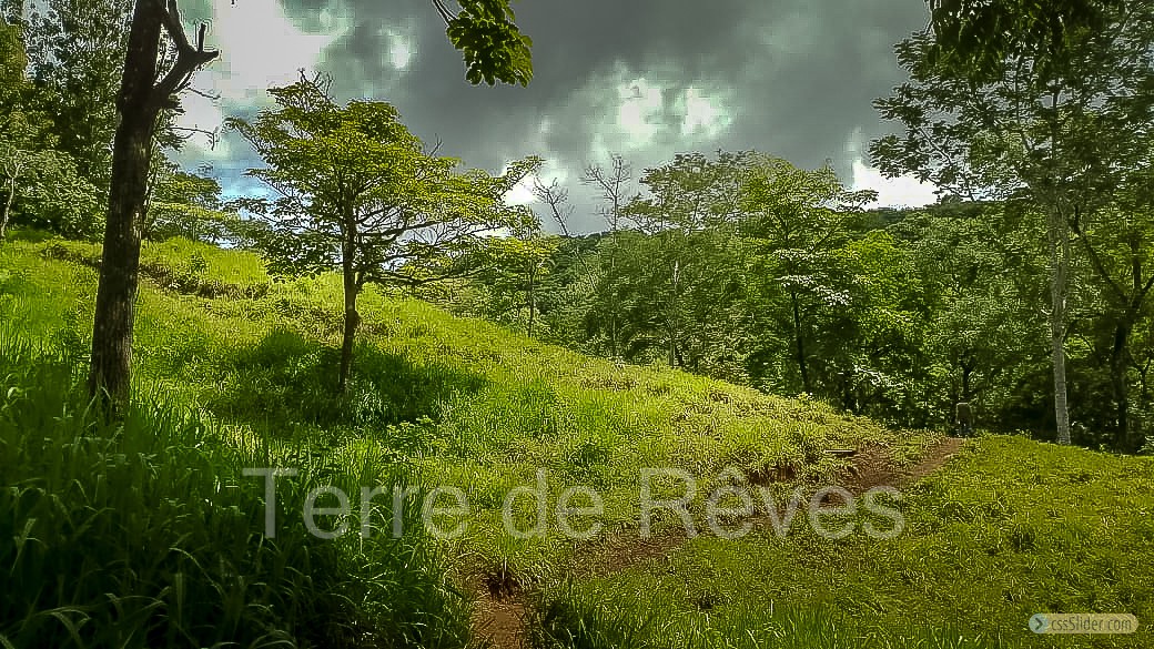 finca_21has_hojancha_costa_rica_5