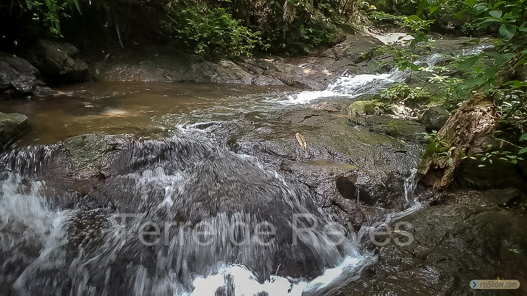 finca_21has_hojancha_costa_rica_7
