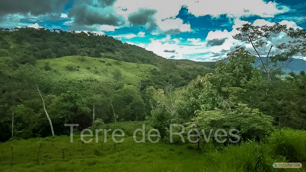 finca_21has_hojancha_costa_rica_8