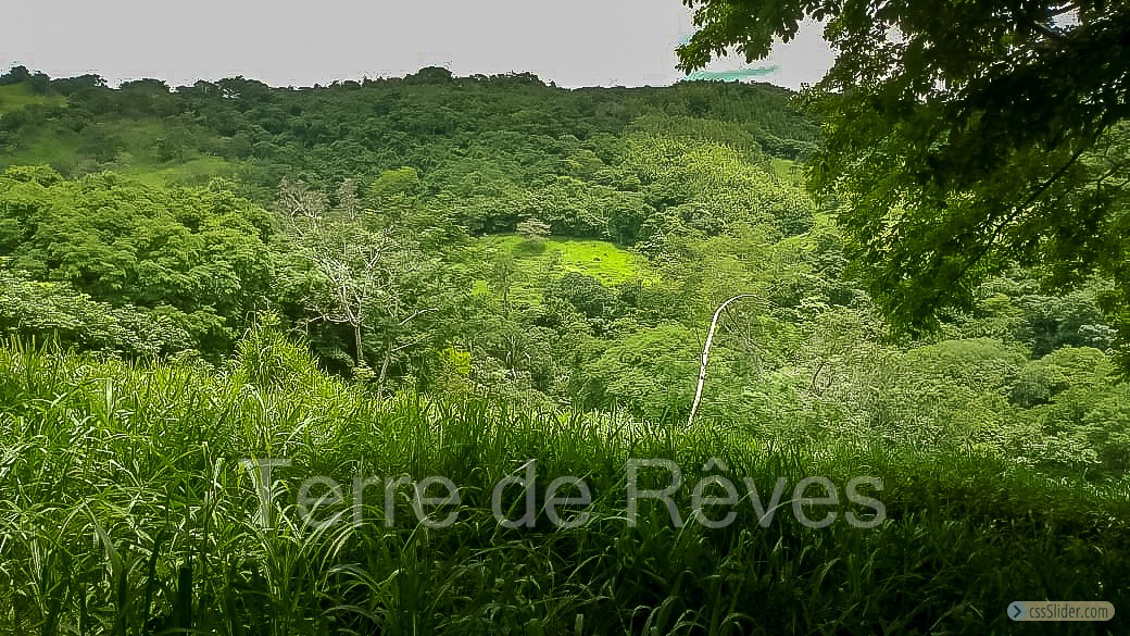 finca_21has_hojancha_costa_rica_9