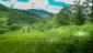 finca_21has_hojancha_costa_rica_1