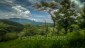 finca_21has_hojancha_costa_rica_2